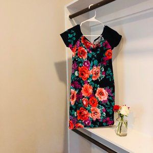 PinkBlush Small Maternity Dress (Never Worn)